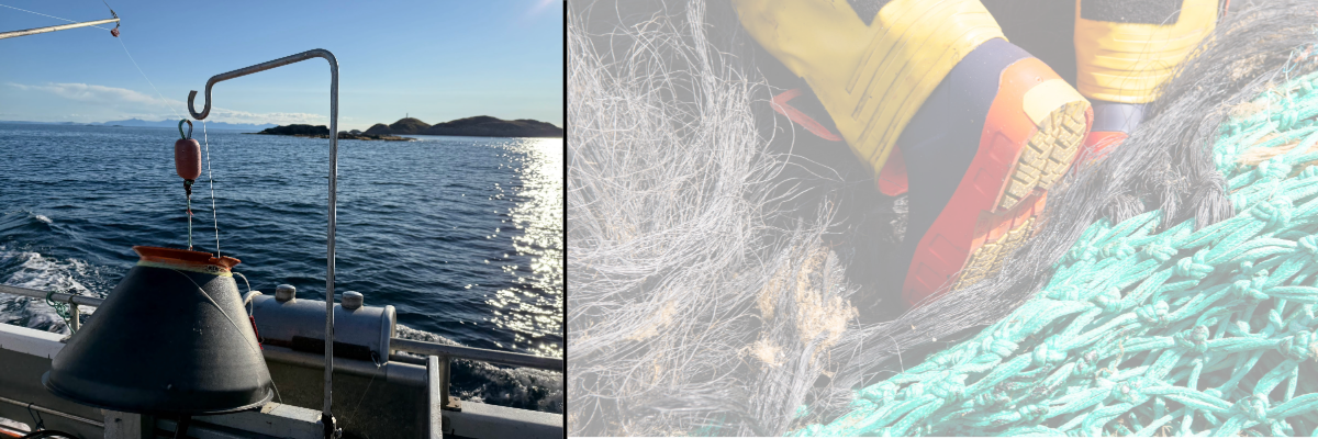 Kampanjer pågående høstens eventyr fisketur 